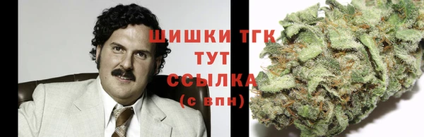 Альфа ПВП Сосновый Бор